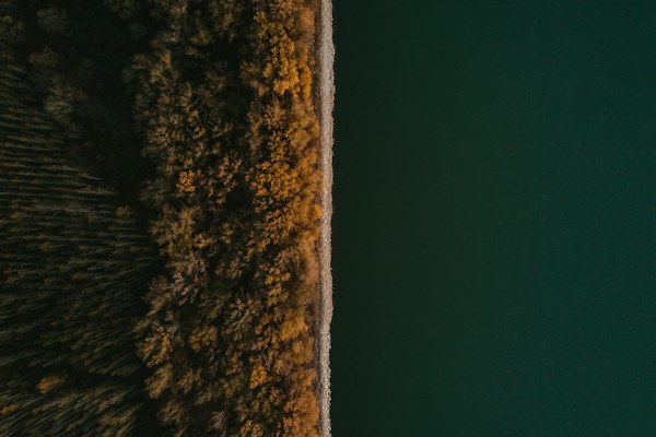 Ilmakuva syksyn metsästä, joka kohtaa tummanvihreän veden.